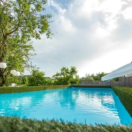 Bobo Relax Nel Chianti Classico Gallo Nero * Strada in Chianti